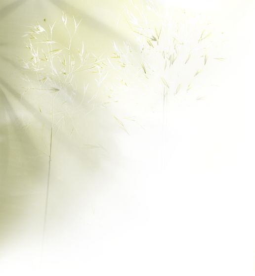 ErinPharm home page